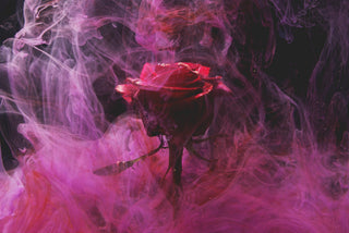 Smoked Vanilla & Tuberose